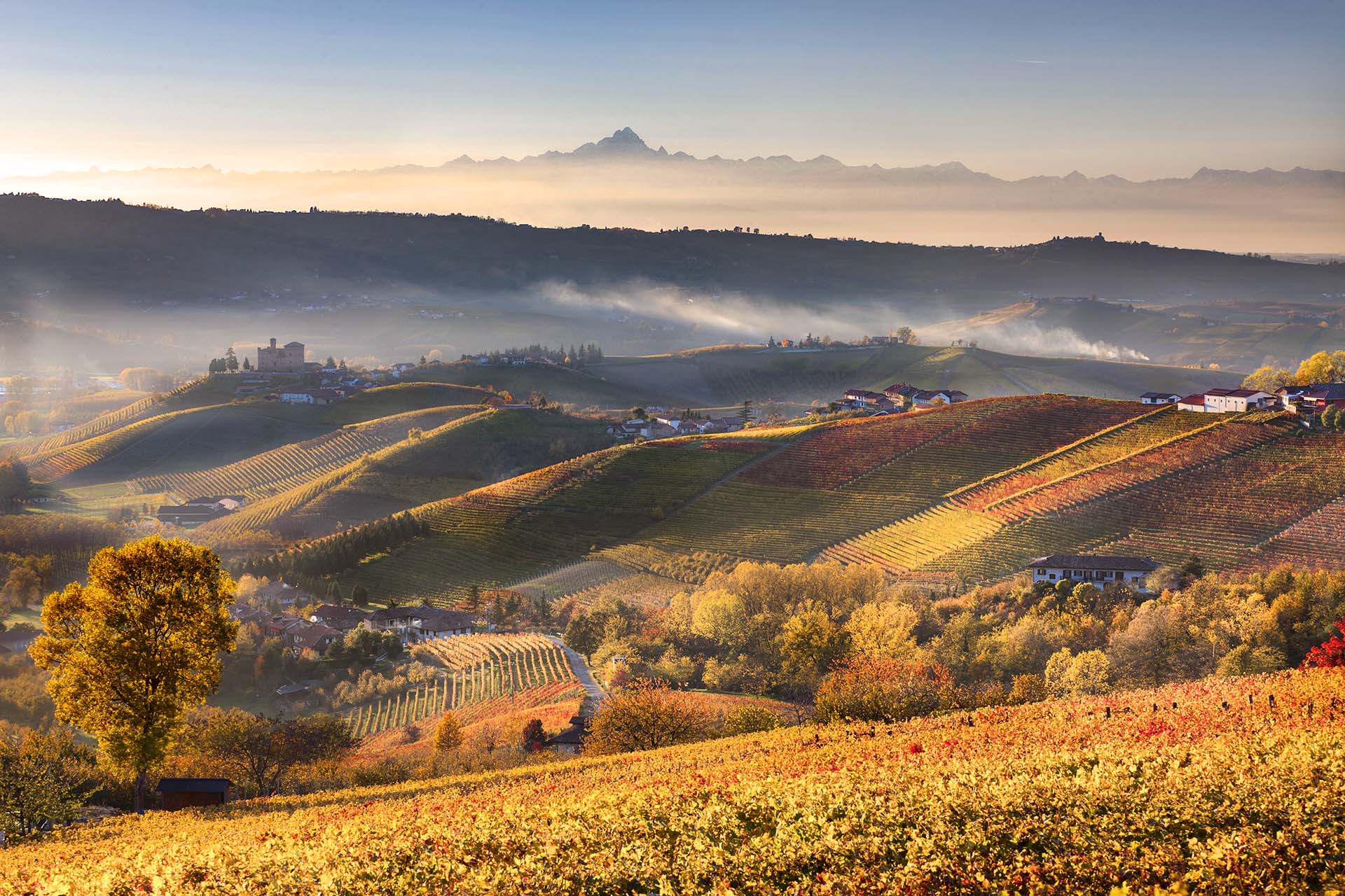 Paesaggio delle Langhe con il castello di Grinzane Cavour e la vetta del Monviso.