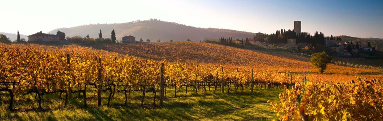 I colori dell'autunno a Badia a Passignano.