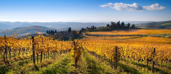 Le colline del Chianti durante il foliage autunnale.