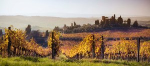 Vigneti e colline del Chianti in Toscana.
