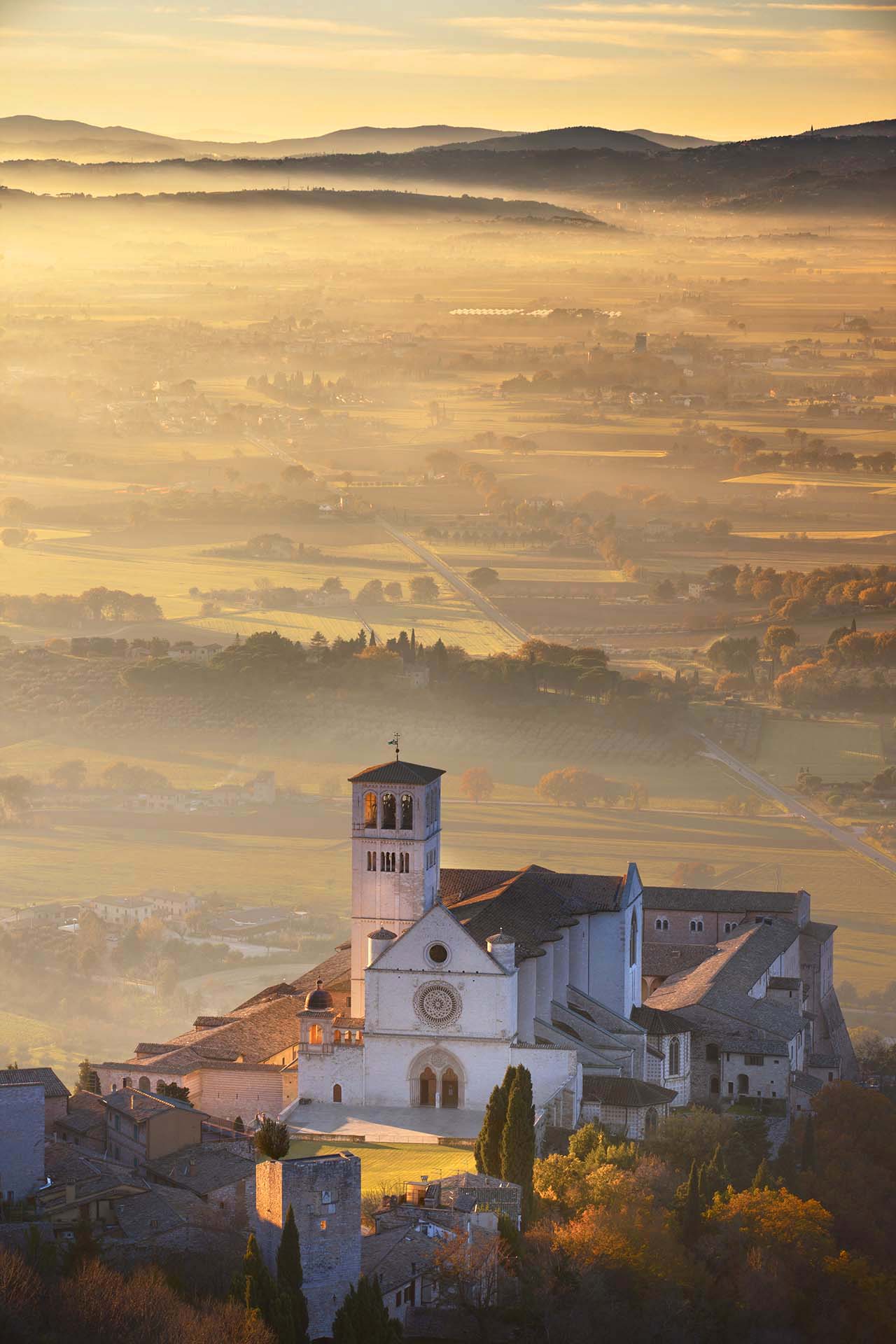 Basilica di San Francesco.