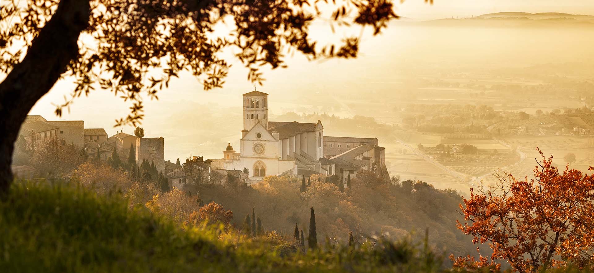 La Vista della Basilica di San Francesco ad Assisi: Un’Emozione Senza Tempo