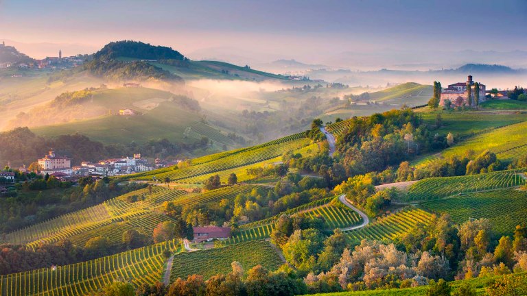 Il Paesaggio delle Langhe con il borgo di Barolo a sinistra.