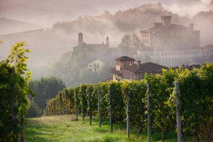 Il borgo di Barolo circondato dai suoi celebri vigneti.