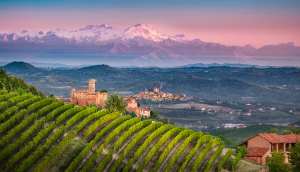 Vigneti di Nebbiolo con il castello di Castiglione Falletto Castle e il massiccio del Monte Rosa.