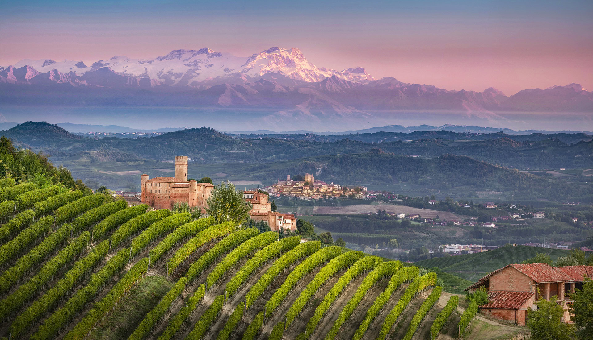 Vigneti di Nebbiolo con il castello di Castiglione Falletto Castle e il massiccio del Monte Rosa.