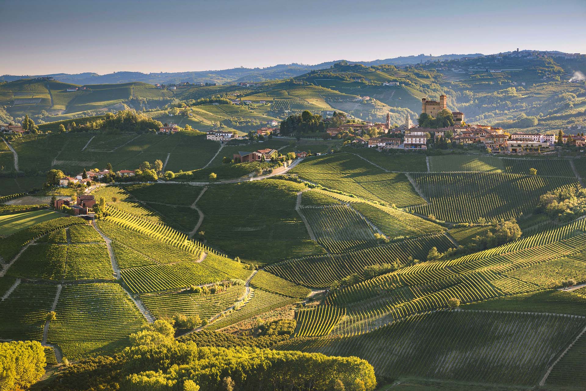 Le colline ricoperte di vigneti nelle Langhe di Serralunga d'Alba in Piemonte.