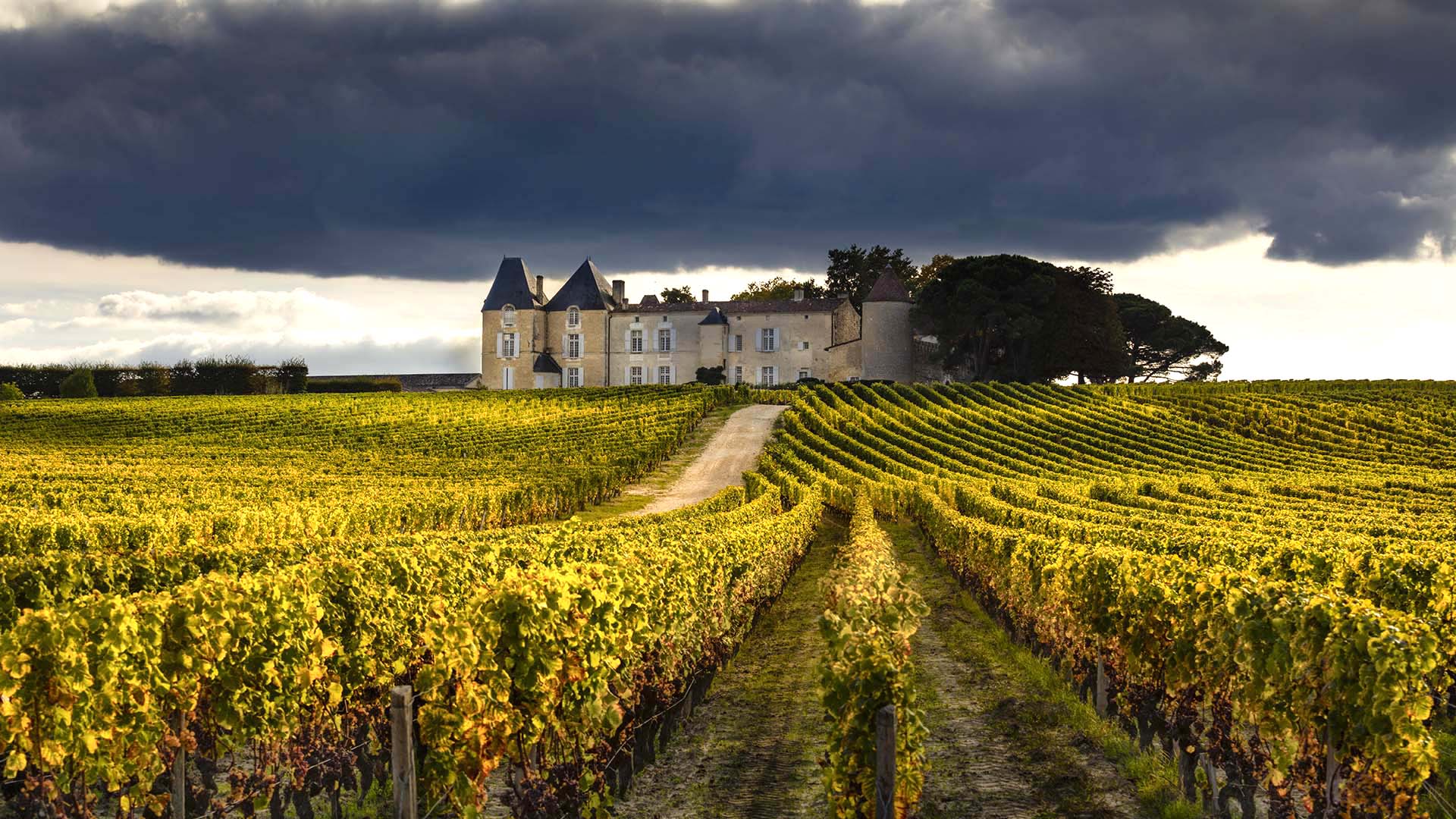 Il famoso Chateau d’Yquem a Sauternes in Francia.