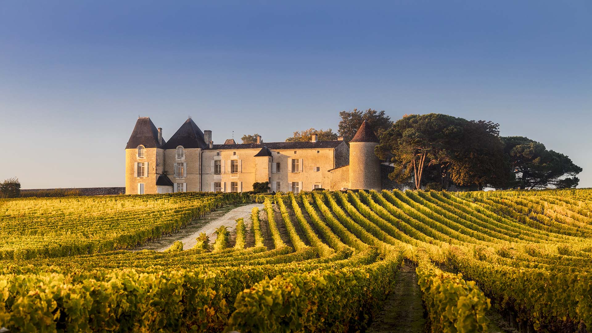 Il famoso Chateau d’Yquem a Sauternes in Francia