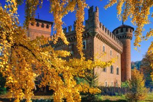 Il borgo medievale di Torino