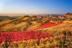 I vigneti delle Langhe in autunno.