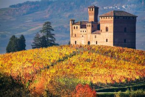Vigneti e Castello di Grinzane Cavour nelle Langhe.