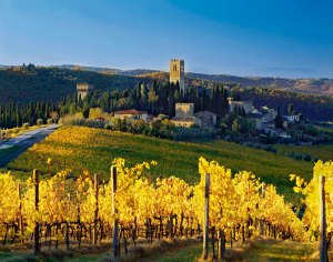 Badia a Passignano e i suoi vigneti.
