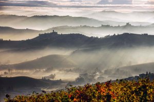 Le celebri colline delle Langhe