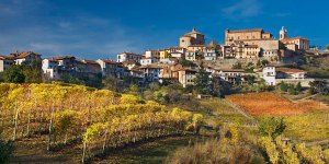 I vigneti colorati delle Langhe e il borgo di La Morra.