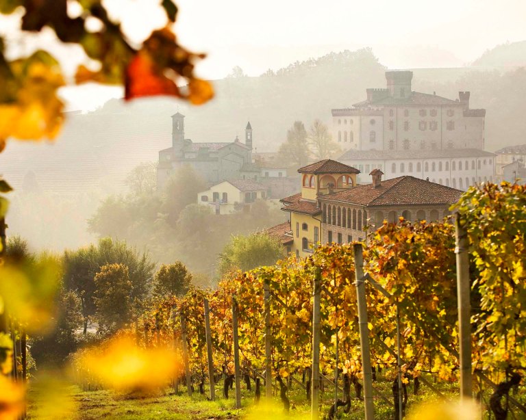 La meraviglia del foliage in autunno a Barolo nelle Langhe.