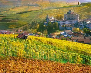 I colori dei vigneti in autunno a Barolo nelle Langhe.