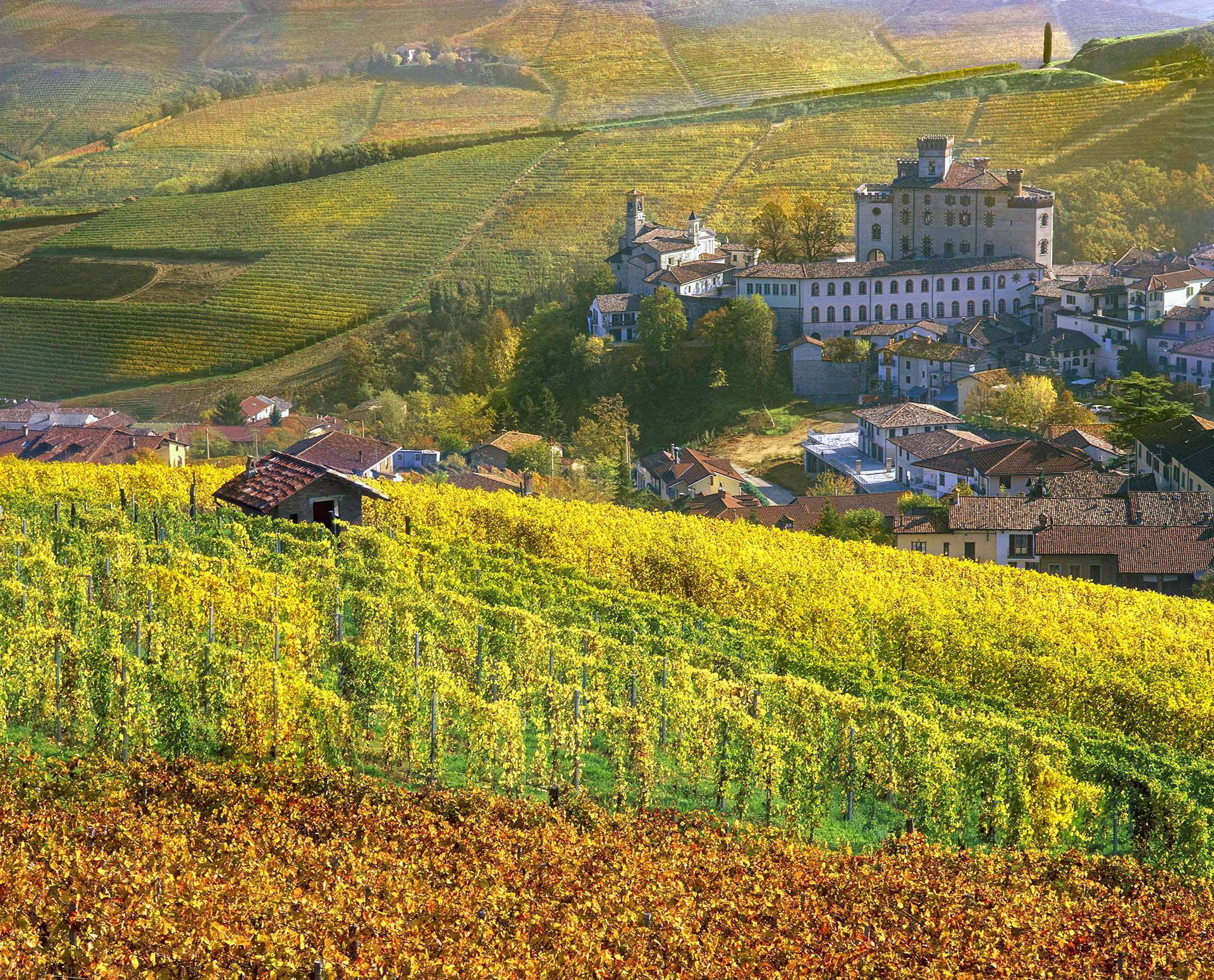 Nelle Terre del Re: La Magia Autunnale tra i Vigneti del Barolo.