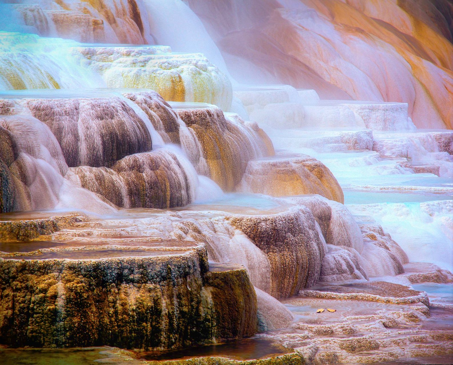 Canary Spring nello Yellowstone National Park nello stato del Wyoming. 