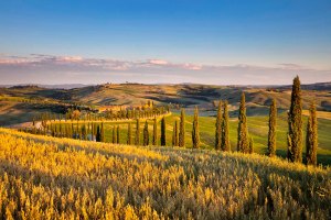 Paesaggio tipico nel cuore delle Crete Senesi in Toscana.