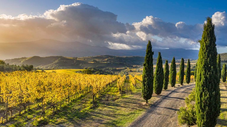 Vigneti e cipressi della Val d'orcia all'ombra del Monte Amiata.