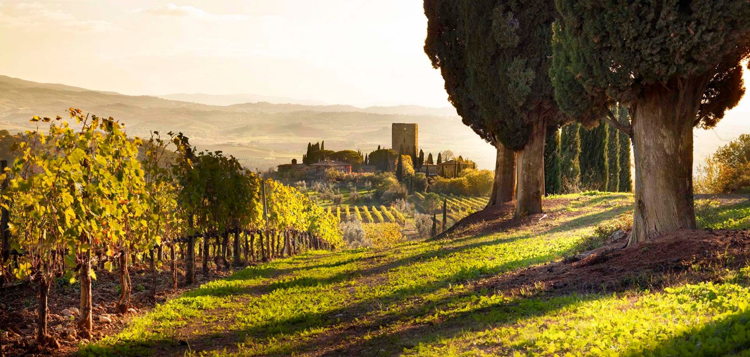 Paesaggio della Val d'Orcia con il Castello di Argiano.