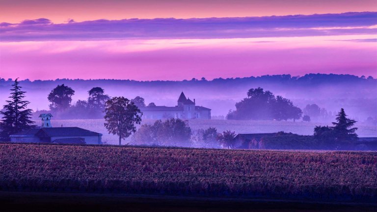 Paesaggio del Sauternes con lo Château Rabaud Promis