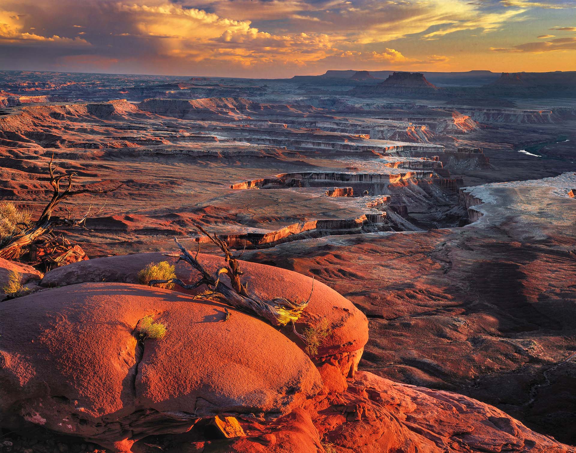 Vista dal Green River overlook nel Canyonlands National Park.