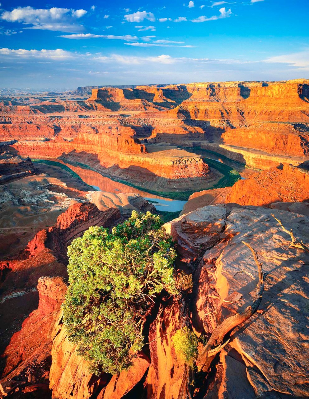 Dead Horse Point State Park, Colorado River Basin nello Utah.
