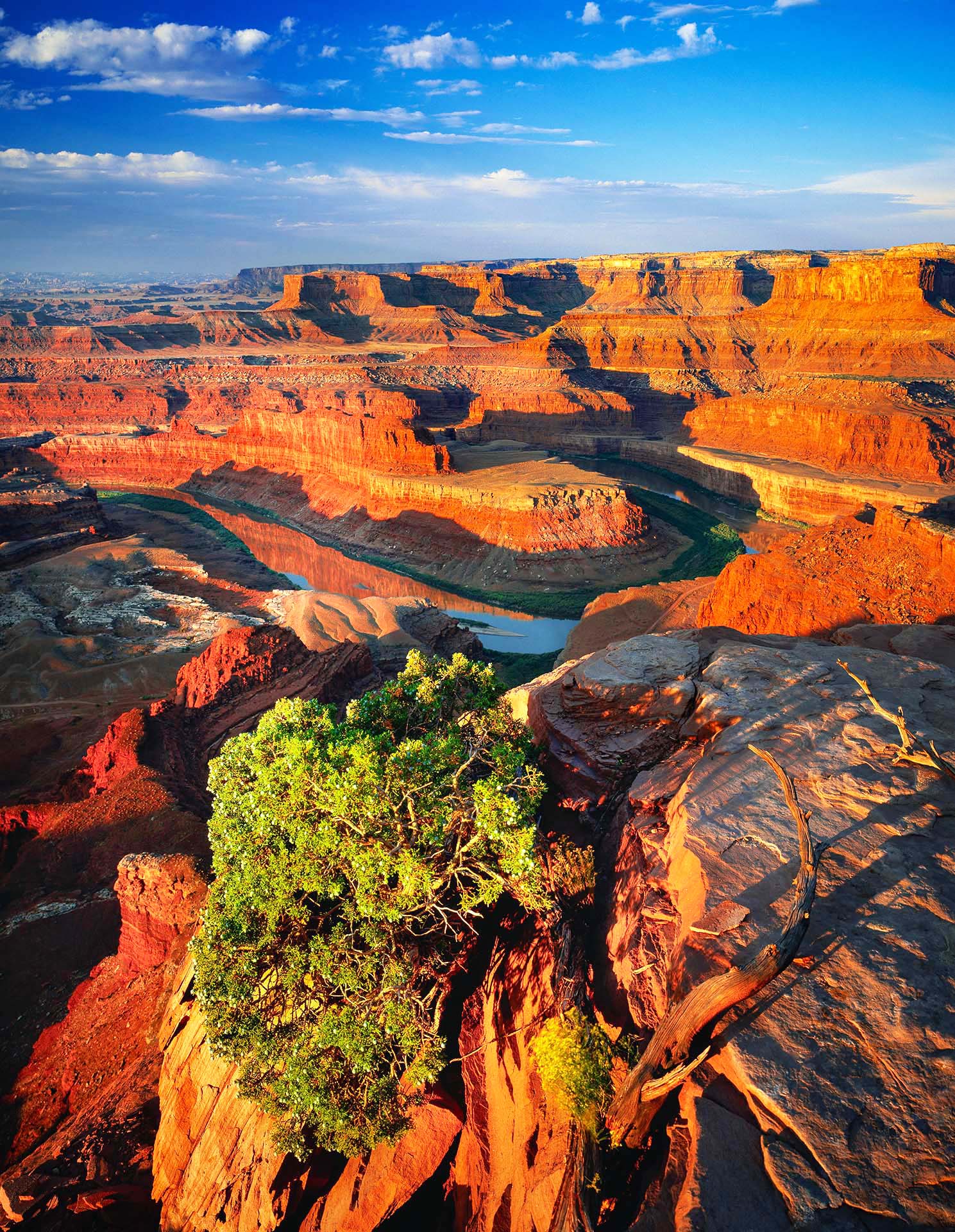 Il respiro del Colorado: la magia senza tempo di Dead Horse Point.