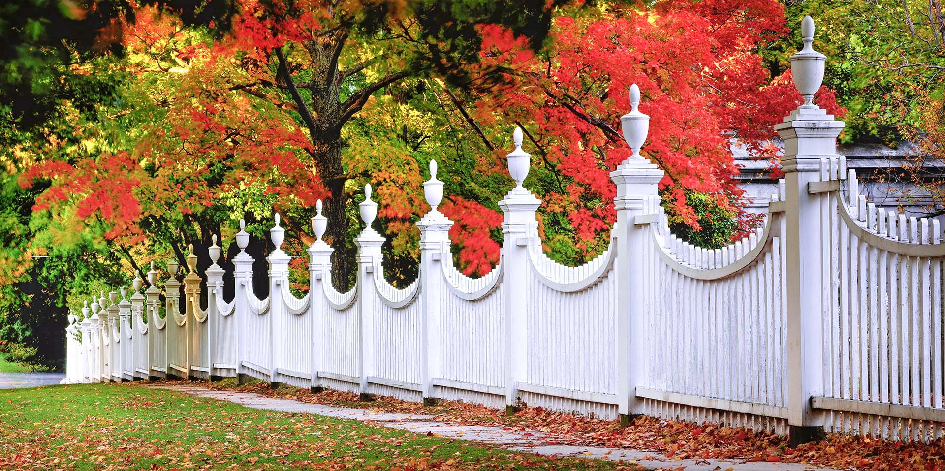 Foliage nel Vermont: La Magia della Staccionata Bianca tra i Colori dell’Autunno.