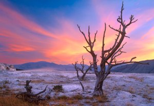 L'anima spettrale di Yellowstone National Park