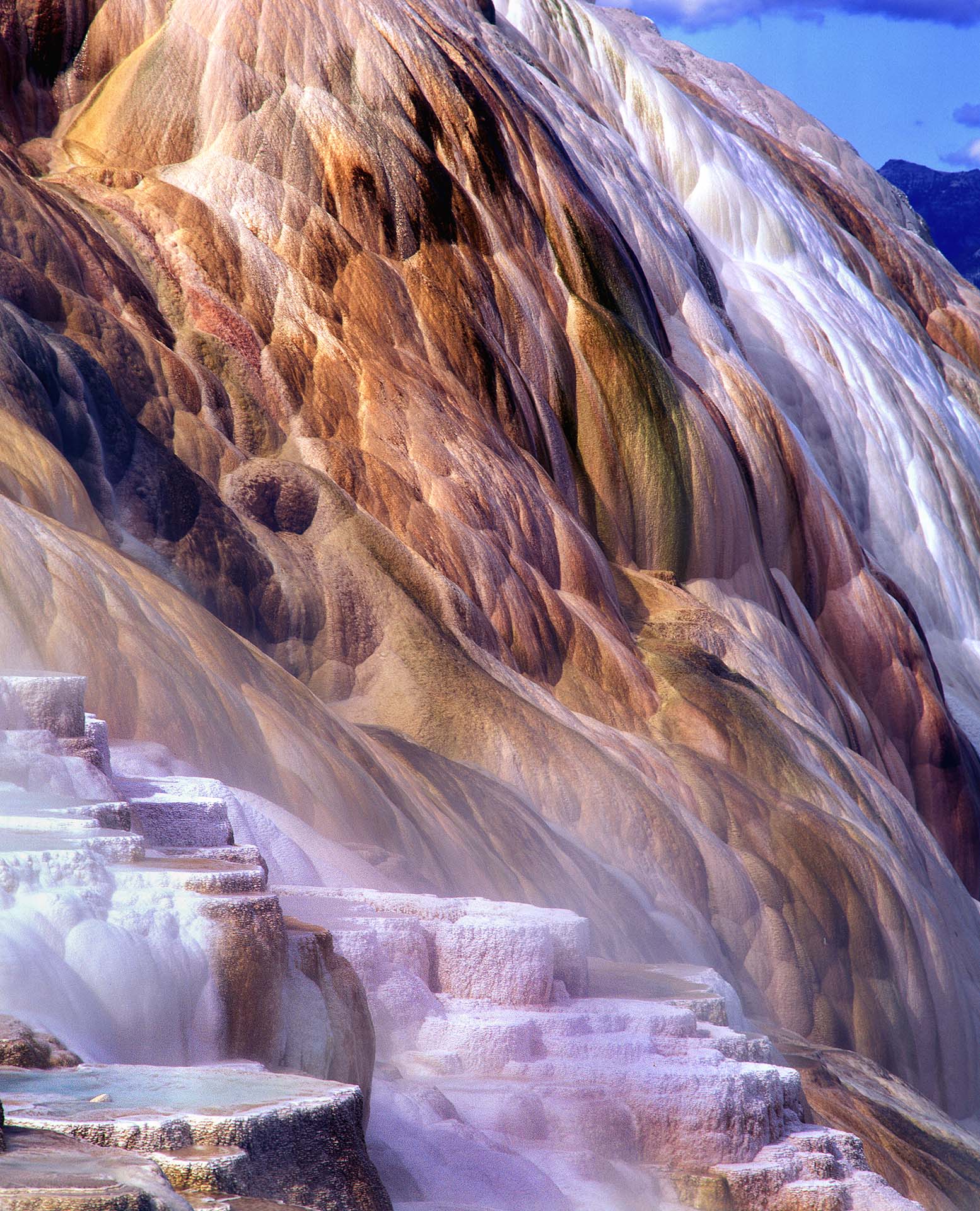Mammoth Hot Spring nello Yellowstone National Park nello stato del Wyoming.