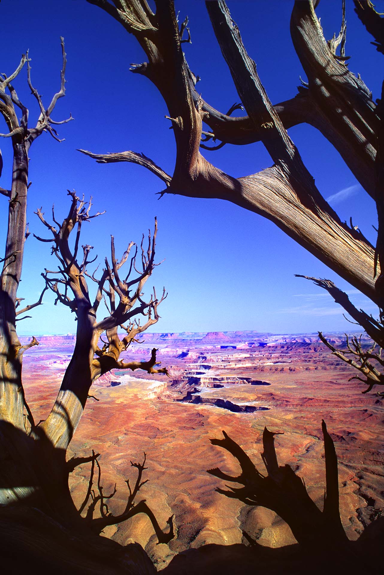 Canyonlands National Park: l’emozione del panorama a Green River Overlook