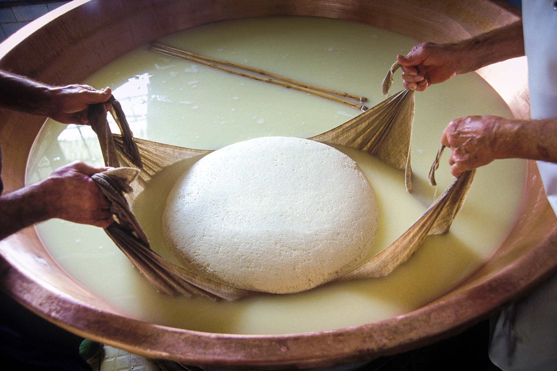 Cagliata del Parmigiano Reggiano