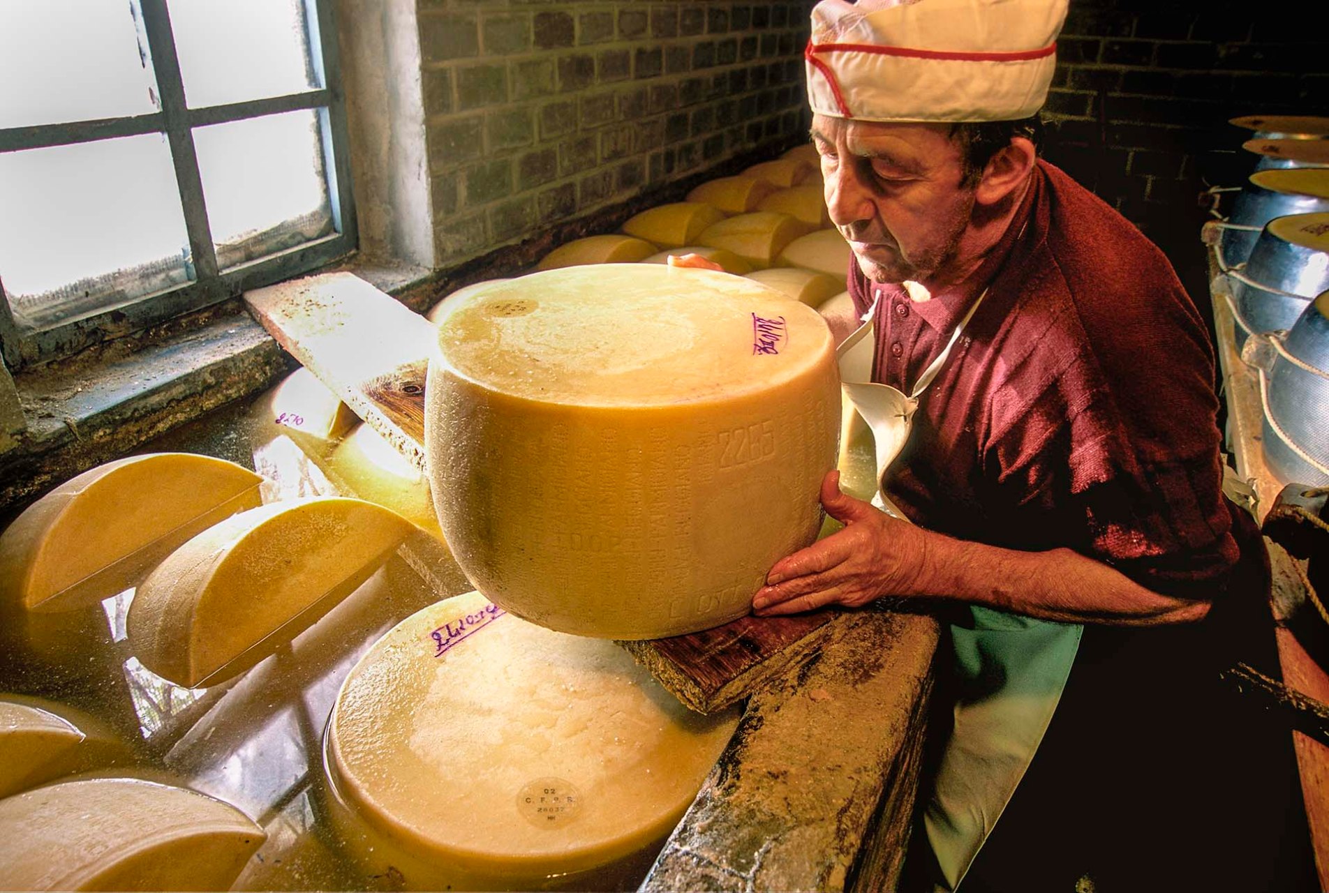 Salatura delle forme di Parmigiano Reggiano.