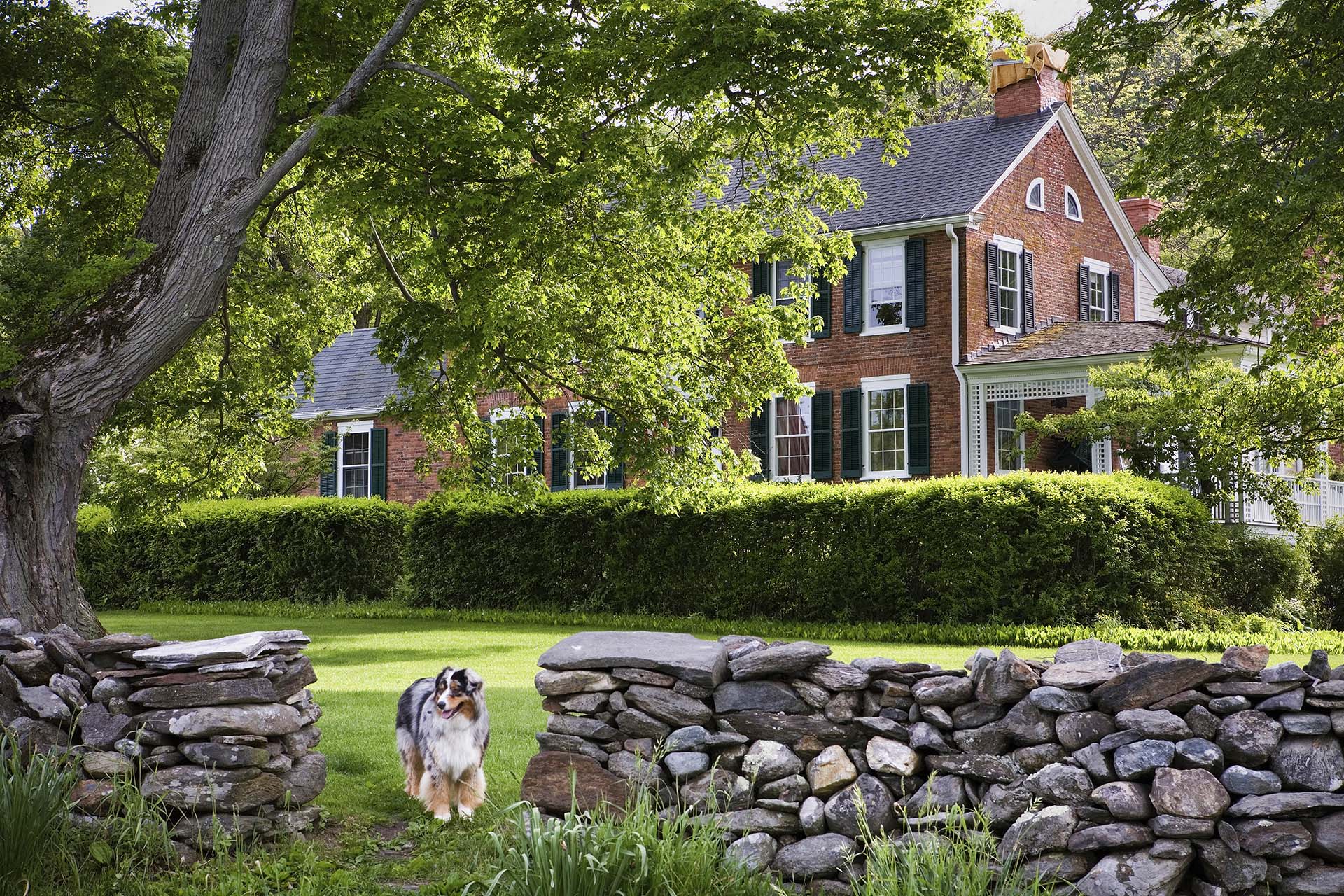 Tipico Cottage nel new England con giardino e cane.