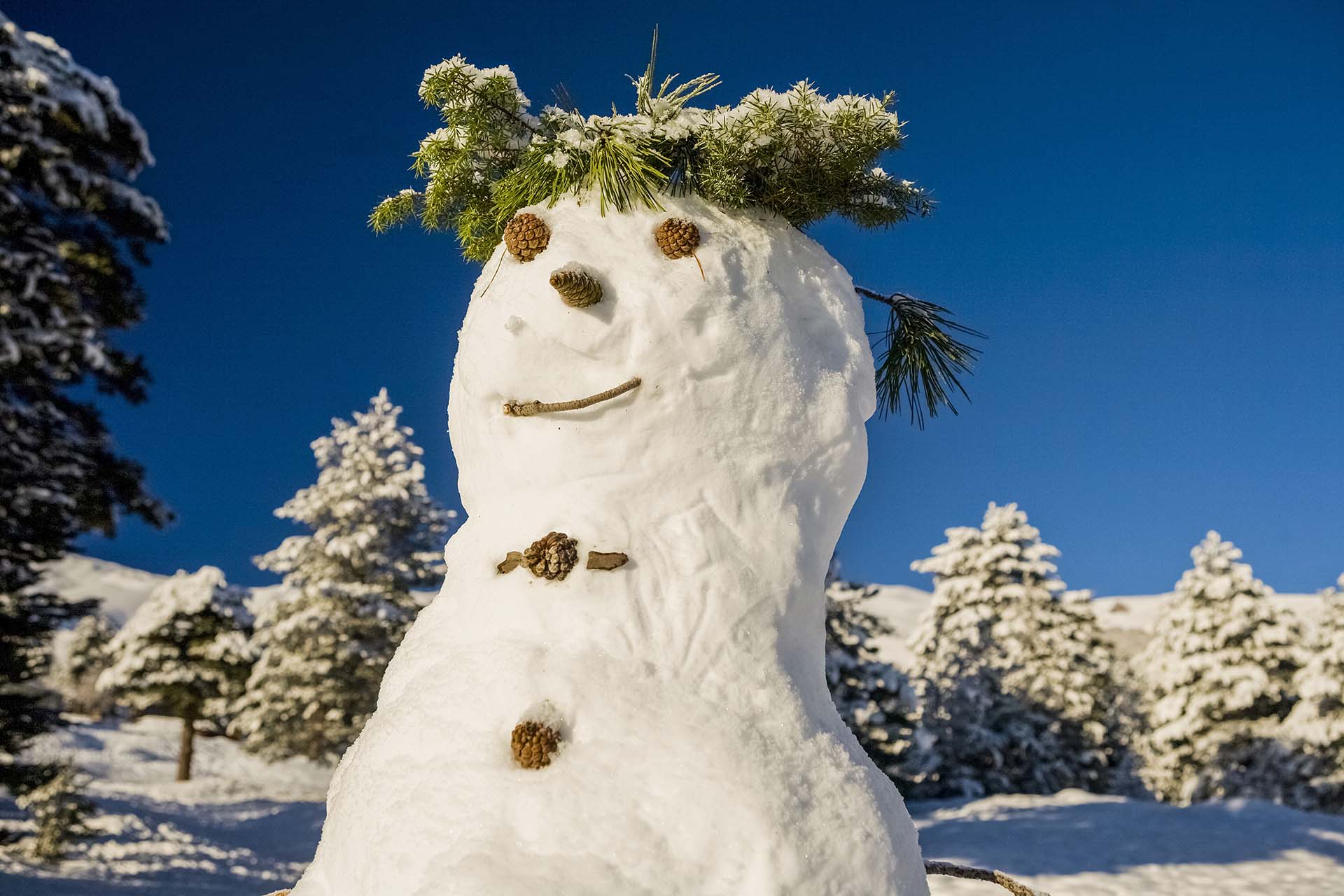 Sculture di neve nella pineta di Monte Conca, nel cuore del Parco dell’Etna