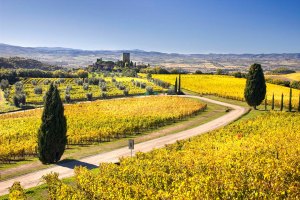 Paesaggio autunnale della Val d'Orcia con vigneti e Castello di Argiano.