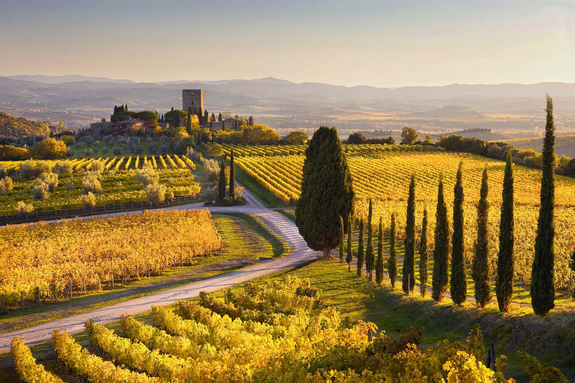 Paesaggio della Val d'Orcia con vigneti e Castello di Argiano.
