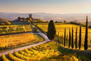 Paesaggio della Val d'Orcia con vigneti e Castello di Argiano.