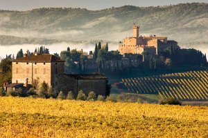 Castello Banfi - Il Borgo, situato in località Poggio alle Mura nel territorio di Montalcino, in provincia di Siena, immerso tra le colline e i vigneti della Toscana.