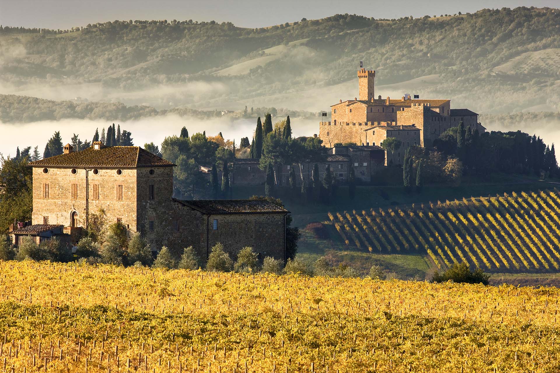 Castello Banfi – Il Borgo: Incanto, Lusso e Magia tra i Vigneti di Montalcino.