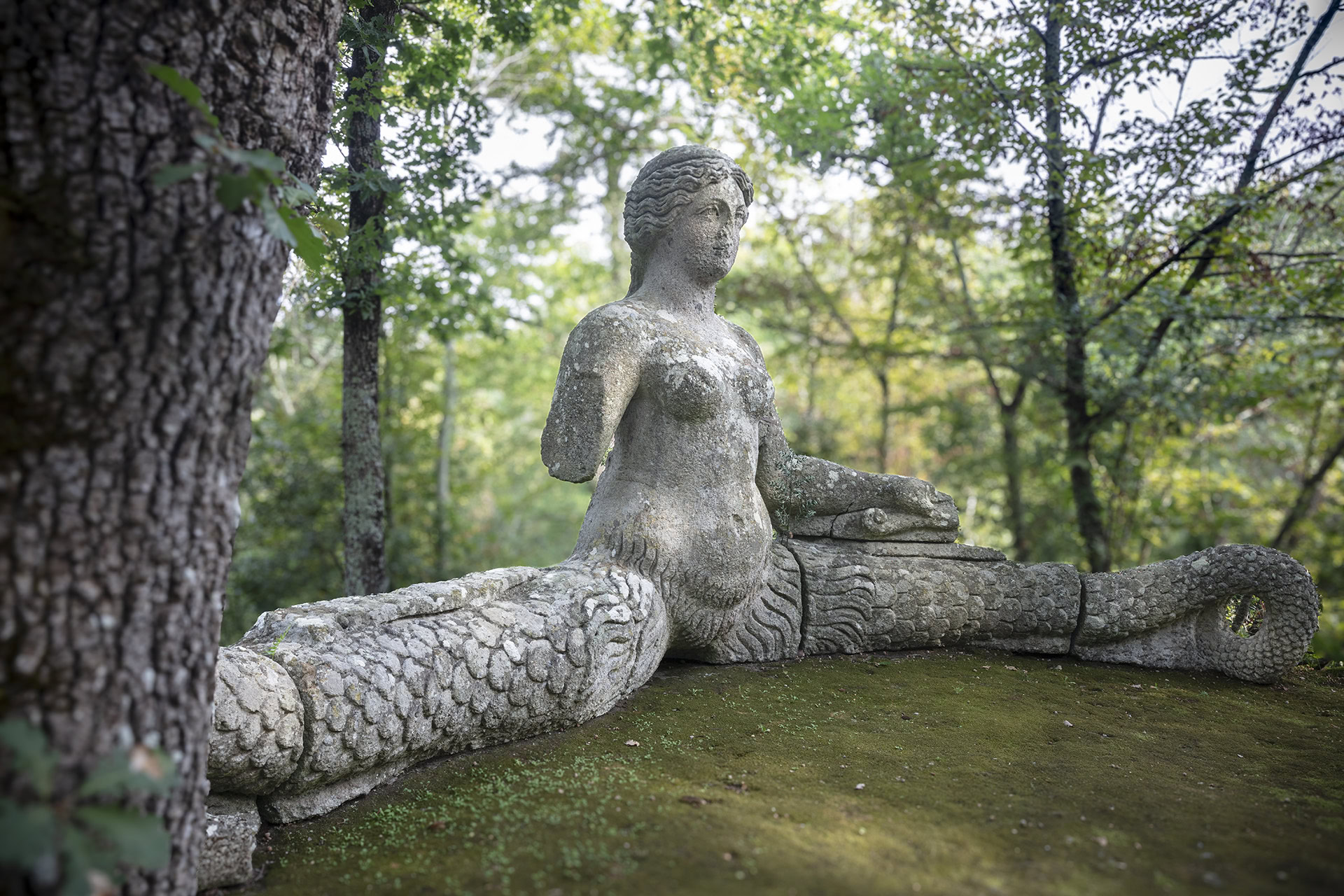 Il Respiro della Roccia: Incontro con Echidna nel Parco dei Mostri di Bomarzo.