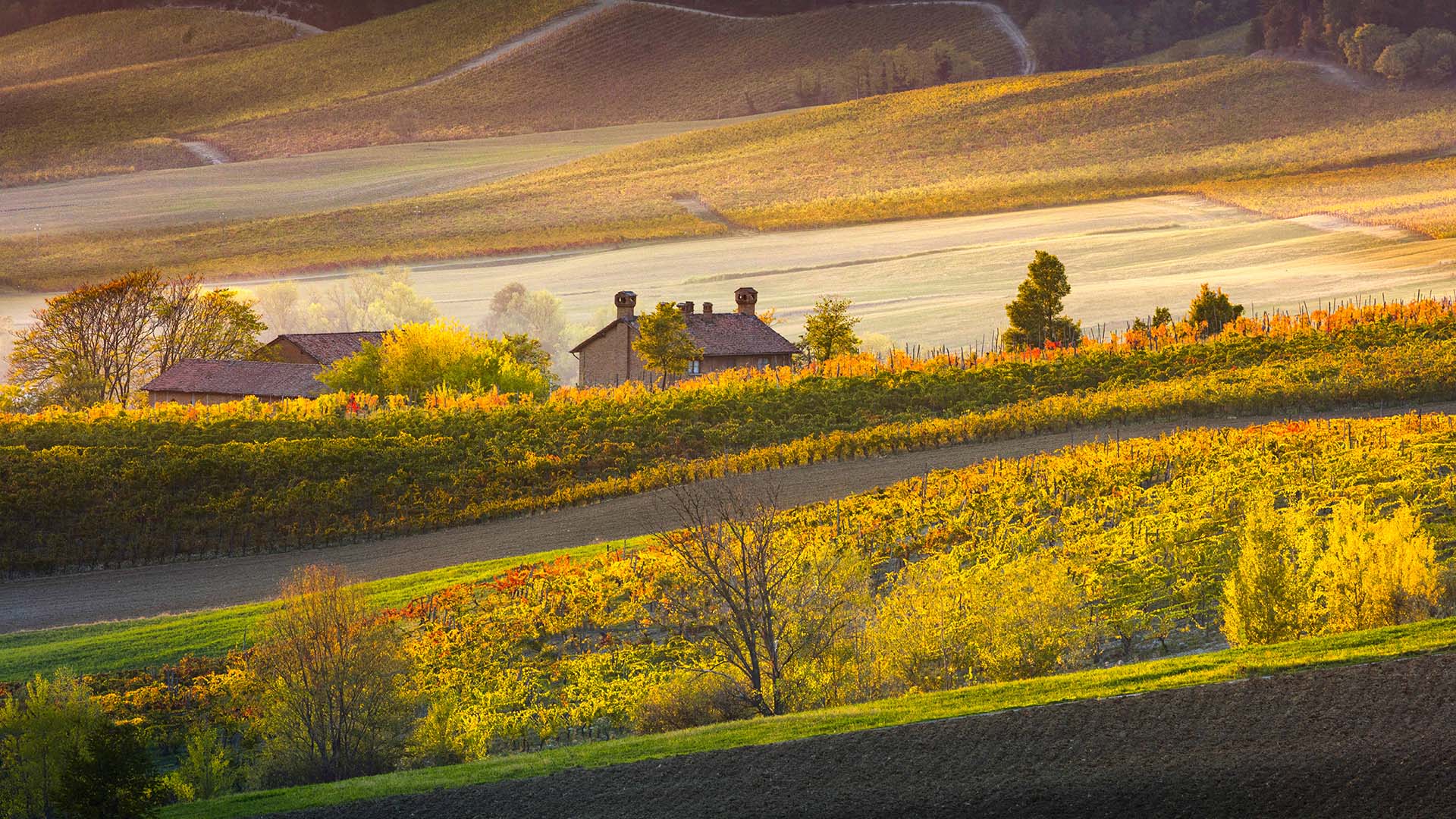 Paesaggio dell’Oltrepò Pavese nei pressi di Montalto Pavese