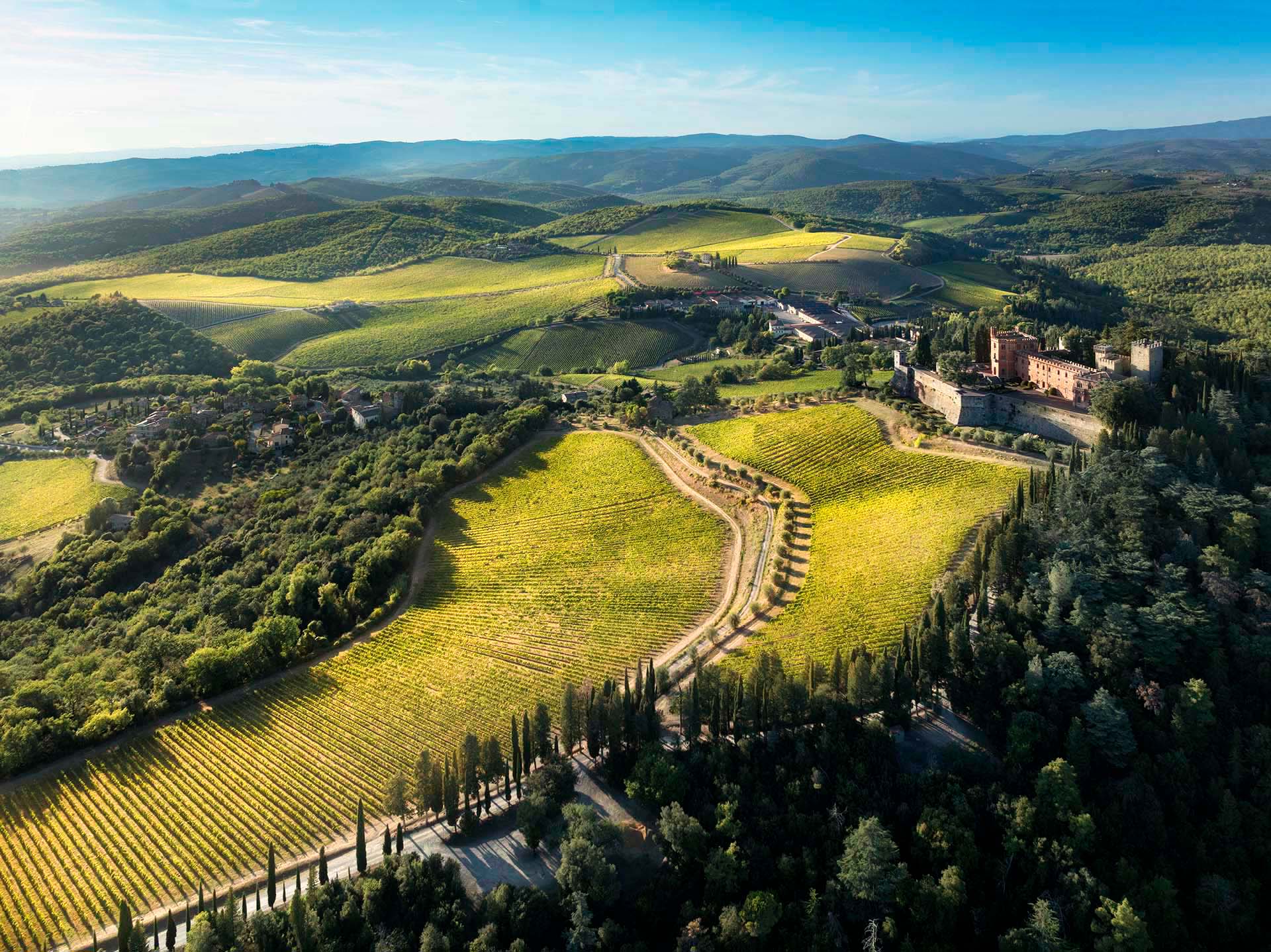 Nel Cuore del Chianti Classico: Il Castello di Brolio e la Sua Natura Sconfinata.
